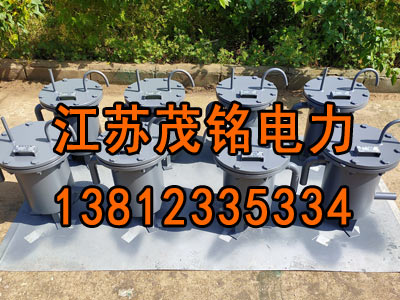 蒸汽取樣冷卻器